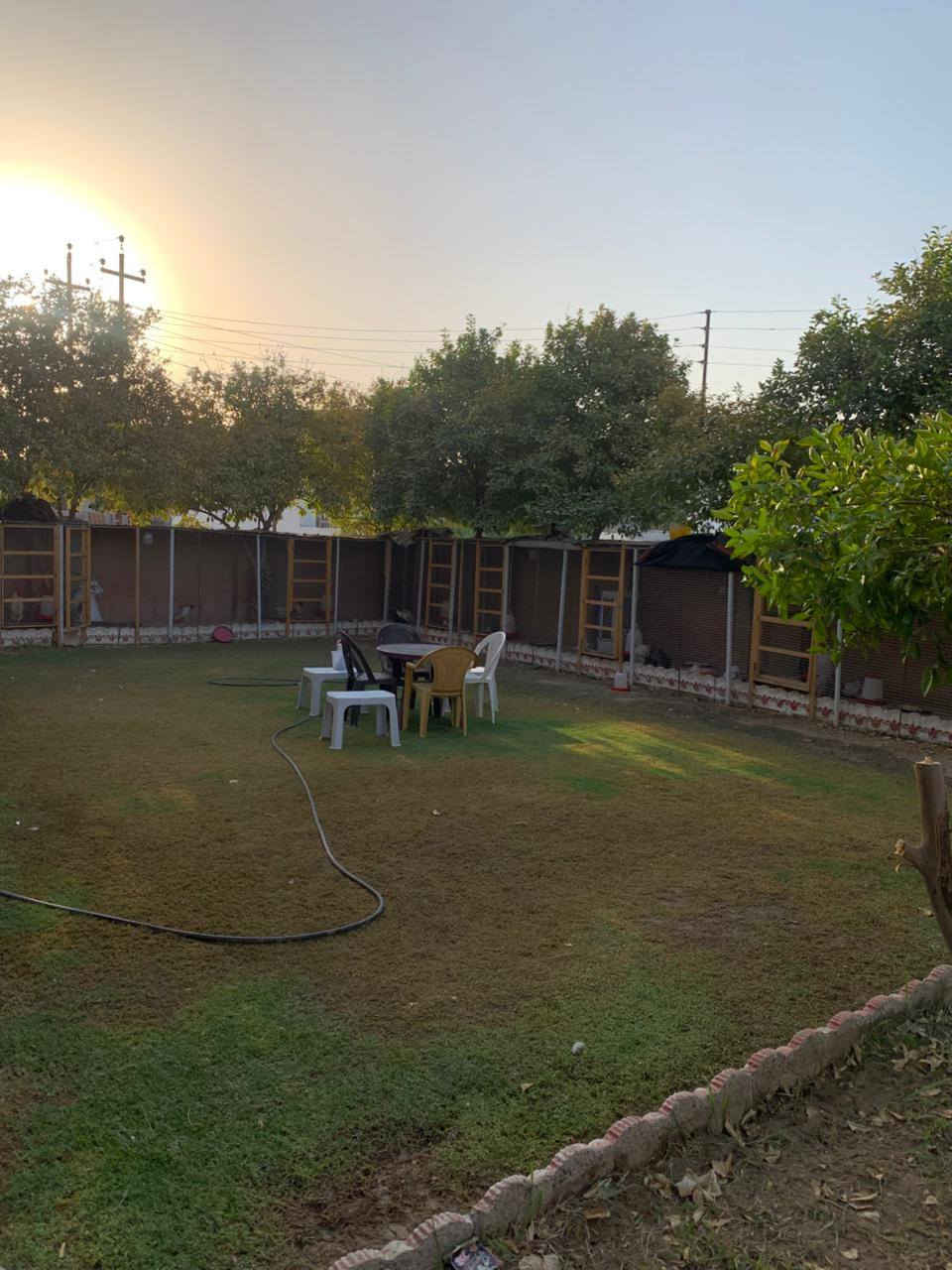 السلام عليكم بيت للبيع او مراوس بدونم العنوان بغداد المدائن قرب مركز الشباب مساحة البيت 600 متر 
يحتوي علا 
حديقة كبيرة
استقبال للضيوف مع هول 
غرف عدد 3 
صحيات عدد 3
صالة كبيرة 
مطبخ حجم مناسب
مع محل كامل بضهر البيت 
الطابق الثاني مرمم كامل ترميم جديد 
 

للأستفسار اتصل علا هاذ الرقم او راسلني واتساب 
وشكراً.
‏‪0770 346 4327‬‏
