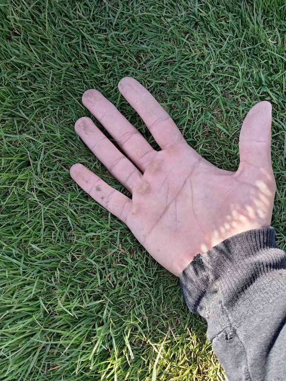 #ياعلي بفضل الله تم وصول وجبه من الثيل الهندي فول الفول سعر المتر المربع القطعتين 2،500
للحجز والاستفسار مراسله الصفحه او الاتصال على الرقم التالي :
***********
