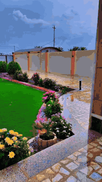 🍒الله خير الرازقين🍒

سكله للمقاولات العامه
زميج حدائق  
ليريد ازوزه أو سكس 
وذا عندك حديقه أخذه كباله تضيف وخليله زميج

العنوان النجف الاشرف الحولي مقابيل حي الميلاد
للاستفسار ***********
