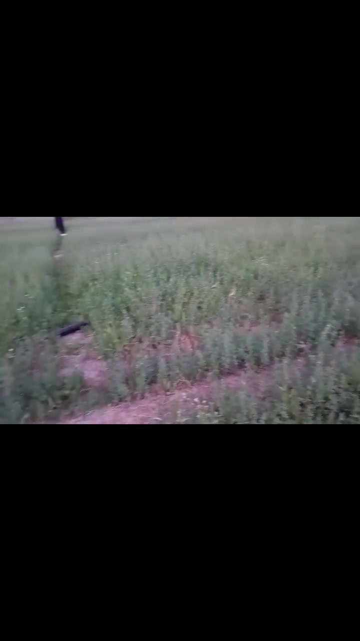 سلام عليكم ٣ دونم ونص جت البيع الموقع منطقت الزهريه قريبات عل شارع مكلف بل نشر‏‪***********‬‏ ‏
