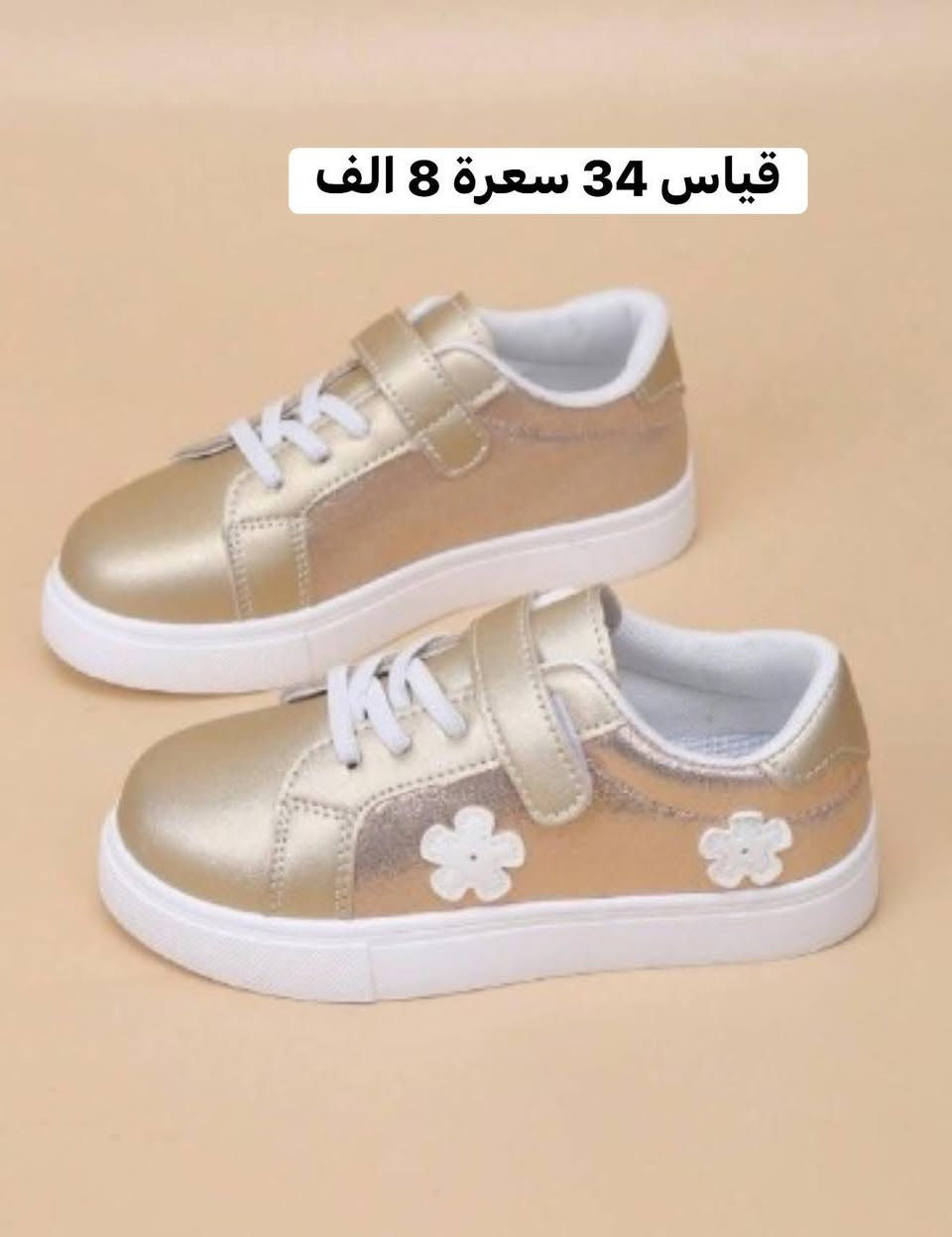 احذية شي ان كوالتي ..توصيل كل المحافظات 5 الف


**إذا كنت صاحب هذا الإعلان وتريد حذفه لأي سبب، رجاءا أرسل رسالة إلى الدعم الفني**