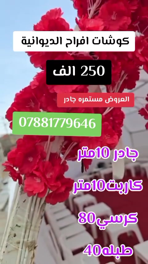 ✨ بـ (250) ألف دينار فقط.. دلال وفخامة! ✨
ماذا يشمل العرض؟
⚪ جادر أبيض ملكي: بطول 10 متر (قابل للزيادة حسب رغبتكم).
🪑 80 كرسي ملكي أبيض: مريح وأنيق يبيض الوجه أمام الضيوف.
🪜 40 طبلة بيضاء: تنسيق مثالي ومريح.
🔴 أرضية (سجاد) باللون الأحمر: لإعطاء لمسة فندقية فاخرة للمكان.
🌸 تزيين ورد: لمسات فنية بالورد (حسب اختيارك وطلبك).
🪧 بورد ترحيب: لاستقبال الضيوف بعبارات تليق بهم.
👑 كوشة داخل الجادر: تصميم خاص حسب الطلب لضمان أجمل الصور.
💰 السعر: 250 ألف دينار فقط!
✅ العرض يشمل: (النقل + التنصيب + الفتح) بكافة أنحاء الديوانية.
لا تشيل هم التعب، إحنا علينا الترتيب وأنت عليك الفرحة! 😉
📞 للحجز والاستفسار، تواصل معنا الآن:
[***********]
سارع بالحجز لتضمن موعدك.. الفخامة بانتظارك! 🌟
