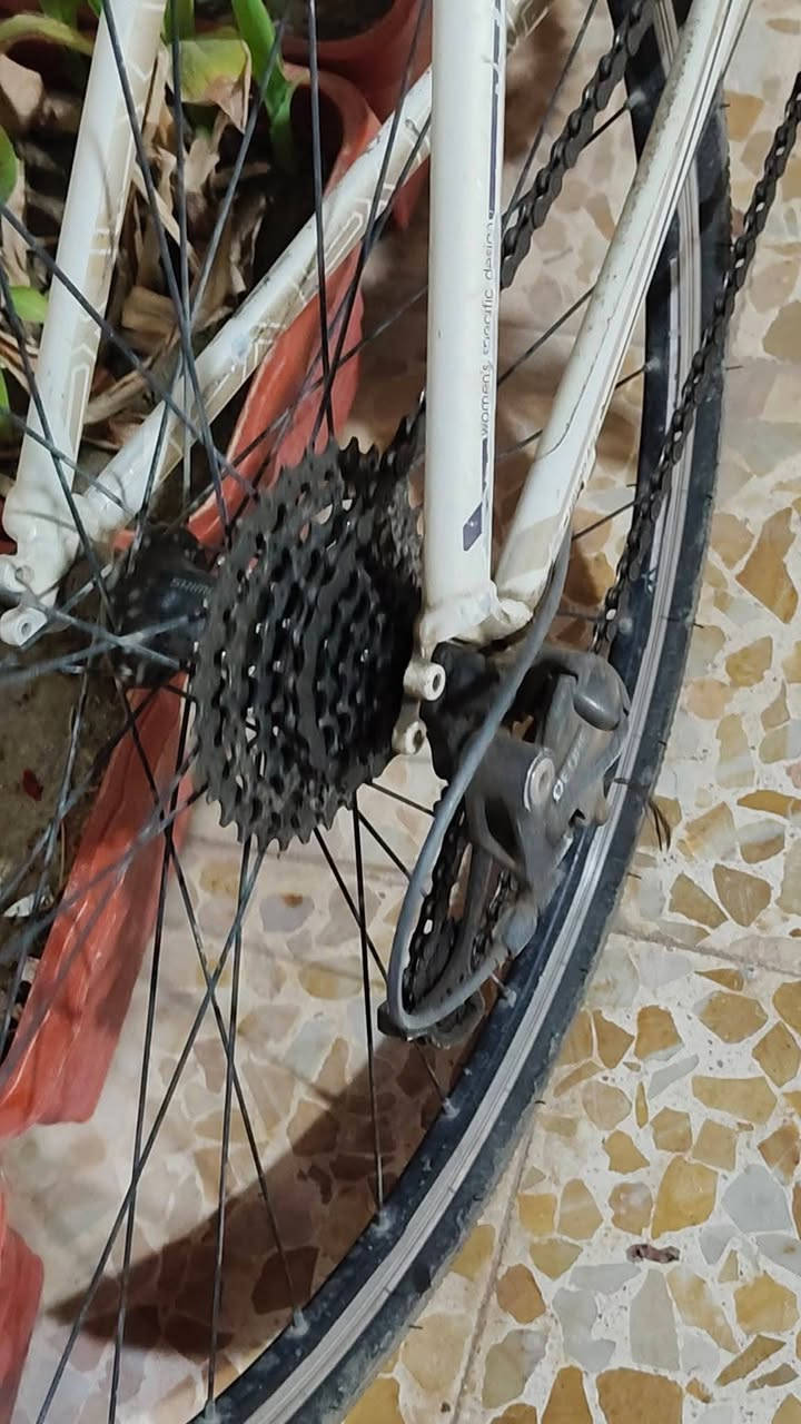 السلام عليكم بايسكل C700 حجم 28 للبيع ماركة تريك TREK, نظيف مال شحن كل غراضو شيمانو فقاسات ACERA اصلي عقرب ديور مجمع شيمانو مكينة خلفي 9 نمرات امامي 3 ماشة كاربون كلو وضع شركة اصلي شراي  سعر مناسب تواصل خاص مكان موصل


**إذا كنت صاحب هذا الإعلان وتريد حذفه لأي سبب، رجاءا أرسل رسالة إلى الدعم الفني**