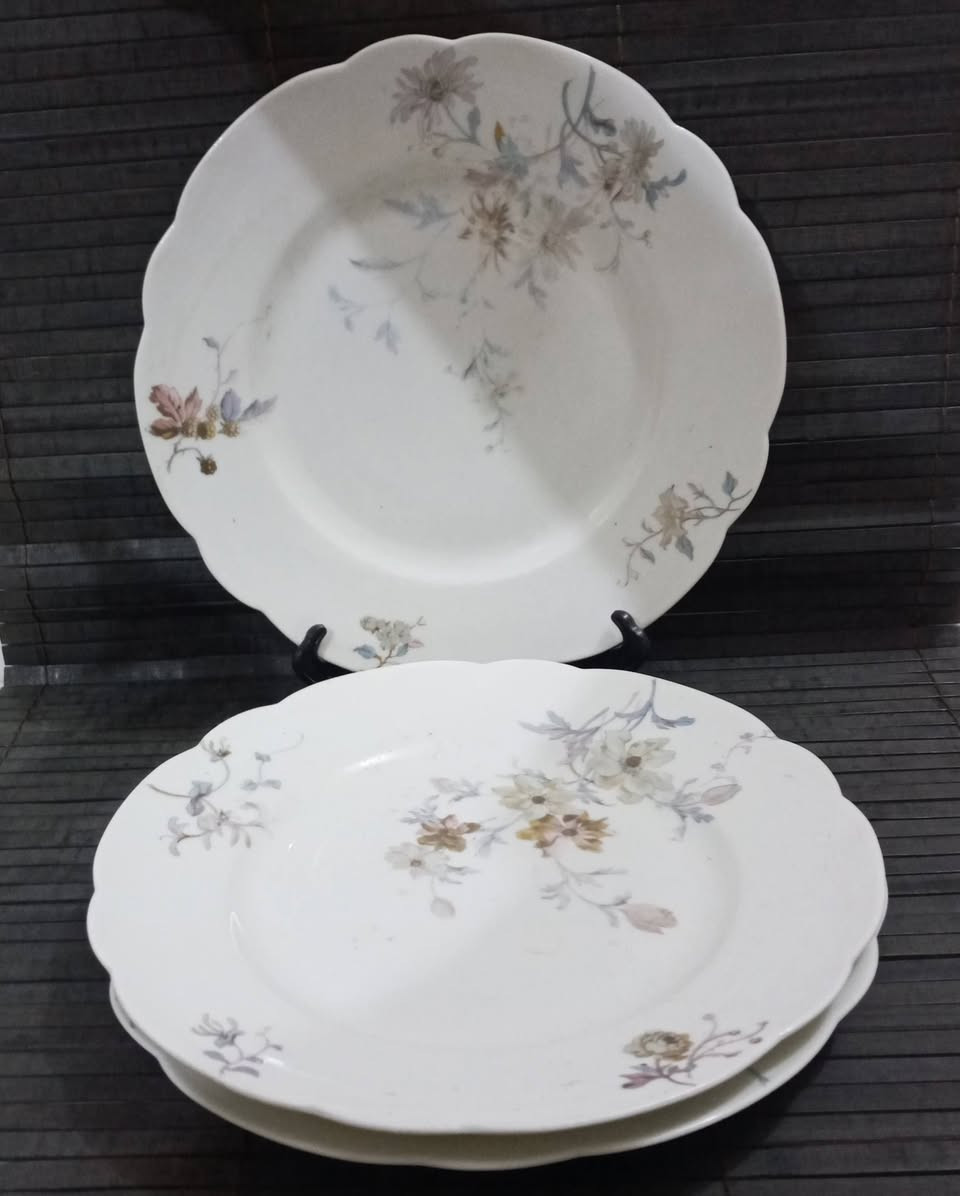 يالله🙏
مساء معطر بذكر ألرحمان.. ❤
جديد أيفا2.. مواعين بالة اوربي متنوع الاشكال وألاحجام🍽🍮

توصيل داخل وخارج واسط✅🚗


**إذا كنت صاحب هذا الإعلان وتريد حذفه لأي سبب، رجاءا أرسل رسالة إلى الدعم الفني**