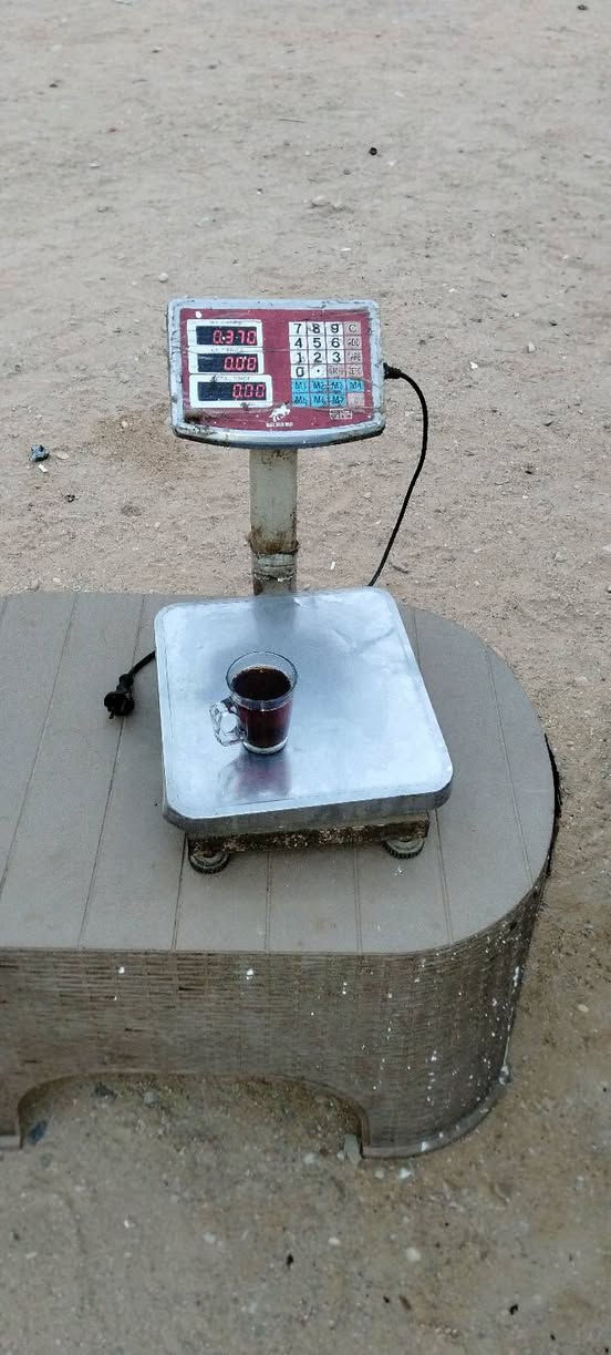للبيع عده مطعم سمك بدون أنابيب شوايه سمك كبيرة وقلايه و ترابيزه عرض وميزان و ترابيزه بوكس وفريزر 350لتر وجميع المستلزمات المعاينة العاشر من رمضان للتواصل 01094170138 مطلوب 25 الف


**إذا كنت صاحب هذا الإعلان وتريد حذفه لأي سبب، رجاءا أرسل رسالة إلى الدعم الفني**