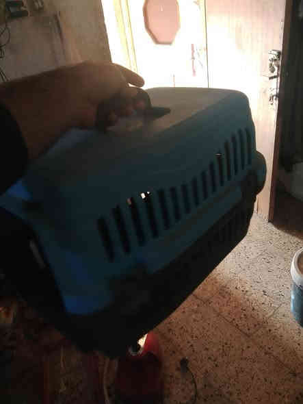 استاند قفص للبيع
وقفص قطط وكلاب هم للبيع 
قيم وخذ 
مكاني بغداد حي الاعلام 
تفاصيل اكثر خاص او تصل *********** وبي واتساب
