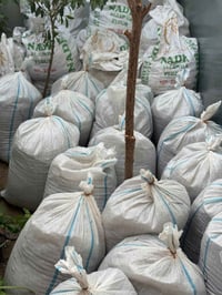 سماد فيرمي • مايحرق النبات • موصل فيصلية