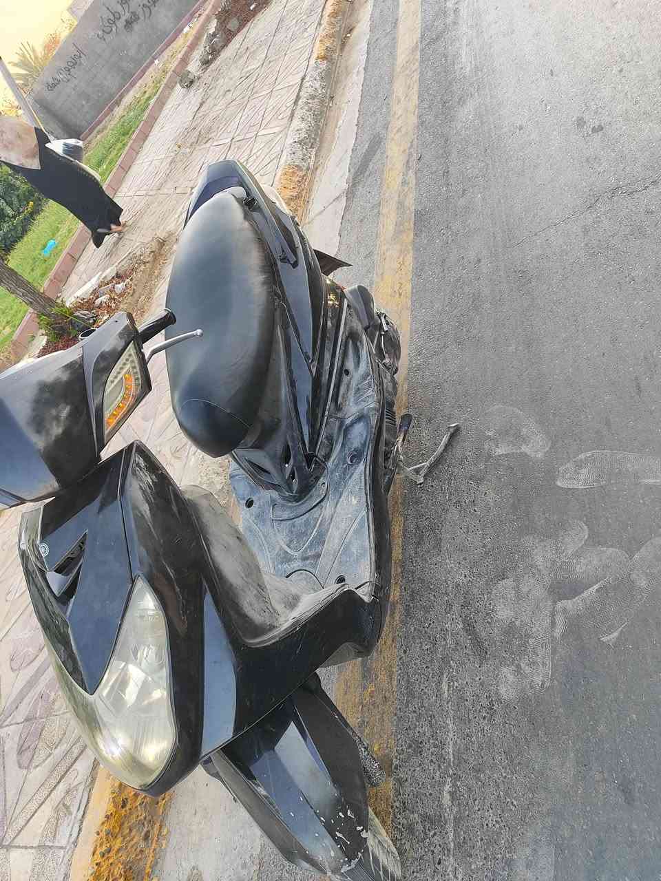 سكنس فحل كابريتر للبيع 
مابي نقص سلف هندر كهربائيات كله كامله مكاني بغداد ساحه عدن سعر 400الف هاتف ***********
