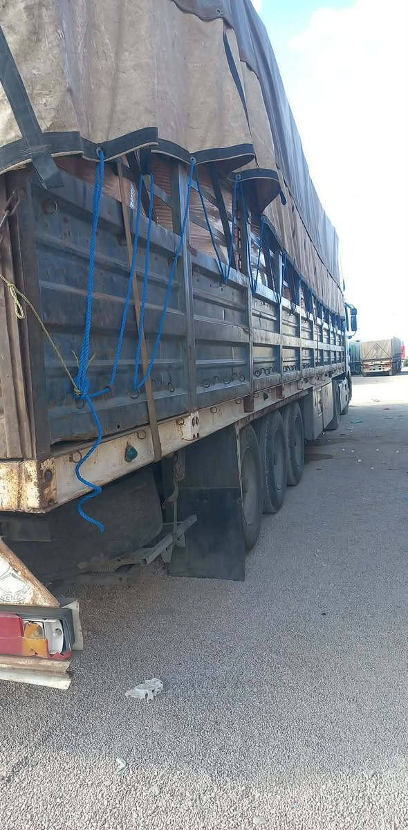 سلام عليكم
عربانه للبيع 

طول 13,60 تخم تاير تخم جوبلس مكفوله 

دناكير بيبي 13 السعر خاص ***********
