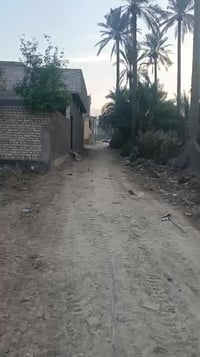 بيت للبيع • سند ٢٥ • ١٧٠م