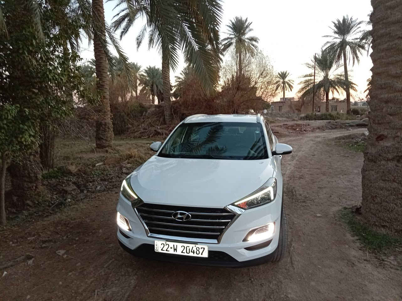 السلام عليكم للبيع توكسون 2019 خليجي رقم أربيل مكفولة كفاله عامه
محرك 20دوش 
مواصفات لد امامي
حساسات
بصمه مراي شفط
يدات نيكل
كشن امامي كهربائ
السياره بدون صبغ
 تريد تحويل تريد وكاله 
 
مكانها بابل الحمزة الغربي عليه السلام 
للاستفسار الاتصال على الرقم الموجود ***********
