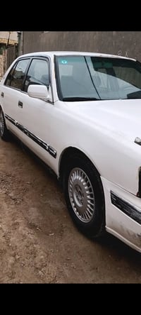 راس الثور • ١٩٩٨ • رقم صلاح الدين
