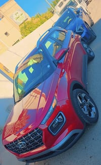 فينو • ٢٠٢٥ • الدورة