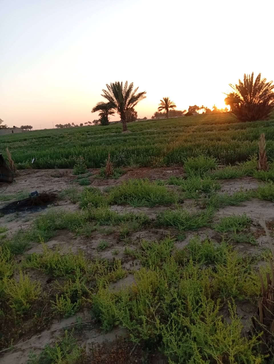 السلام عليكم قطعة أرض مقسمة على شكل 500متر لكل قطعة  زراعية وتنسكن قرب المزارع
شوارعها 6متر كهرباء واصلة
وبيها ابيار ماء 
سعر القطعة الواحدة 9ملايين
الموقع الطاش التل الاخضر 
***********
