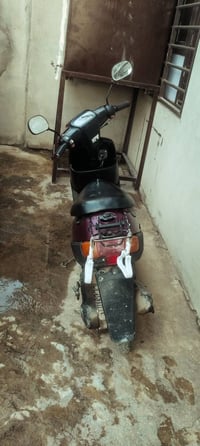 بوتين • ماطور نشط • كدام العين