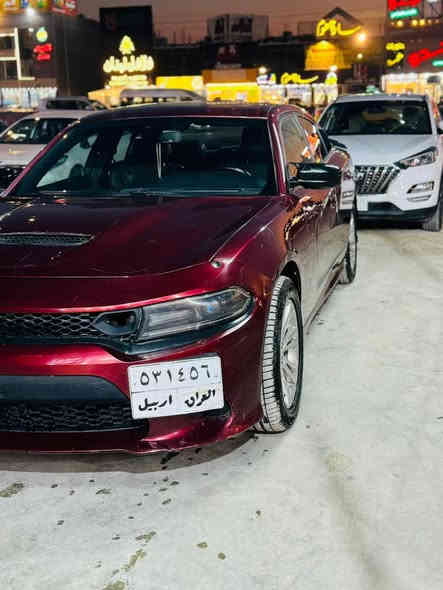 جاجر جيتي فول للبيع. ***********.          سعر 170
