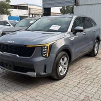 سورنتو • ٢٠٢٤ • كتاب شهداء