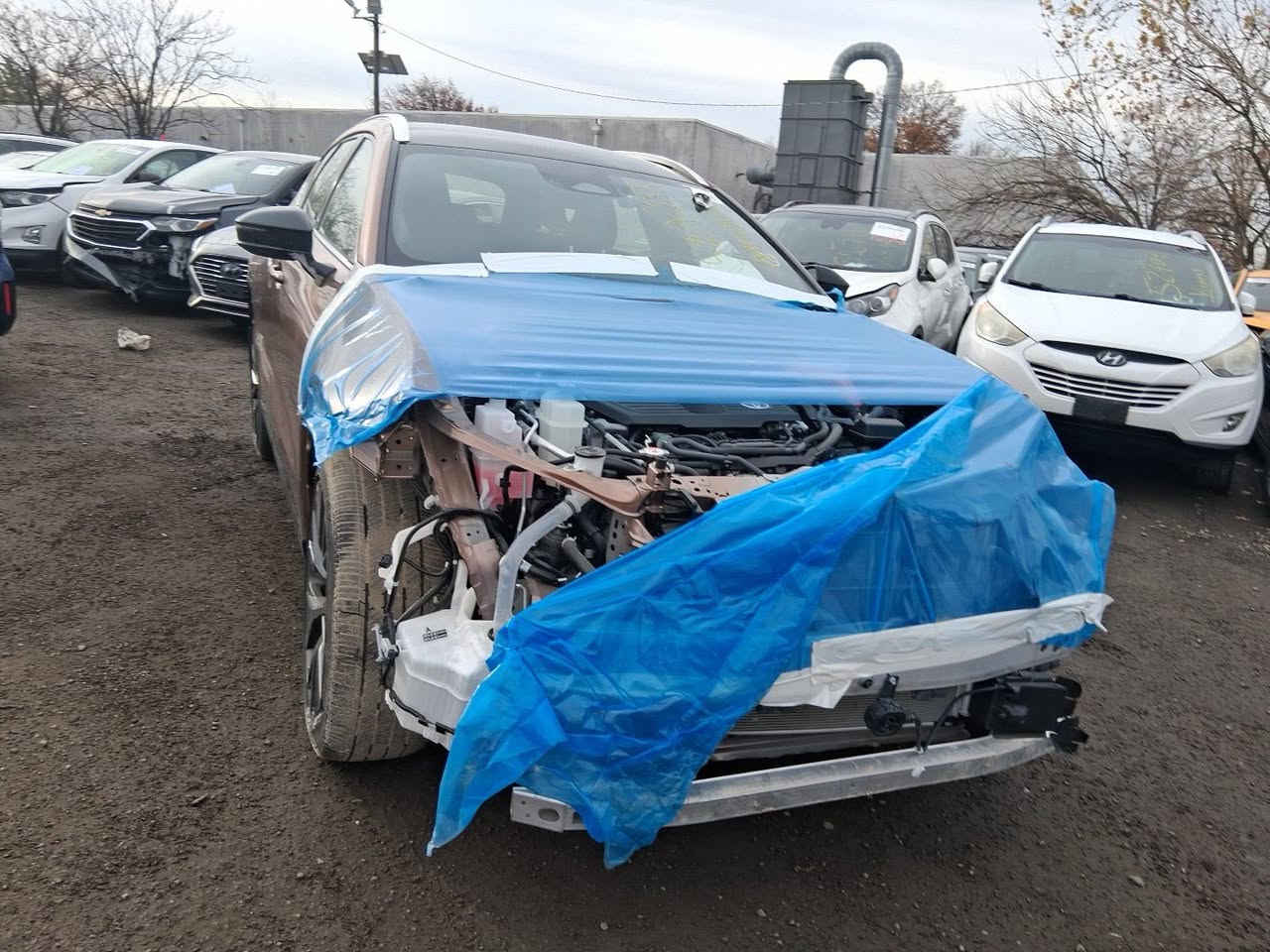 السلام عليكم كروان سگنايا 2025لمتدد
حاليا بالميناء موجوده يستفاد منهاذوي الشهداء
 السياره بالكارتون 
0781800699


**إذا كنت صاحب هذا الإعلان وتريد حذفه لأي سبب، رجاءا أرسل رسالة إلى الدعم الفني**