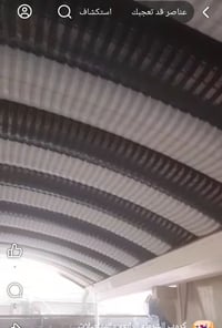 قمرية كبيرة • مكلفة • للبيع