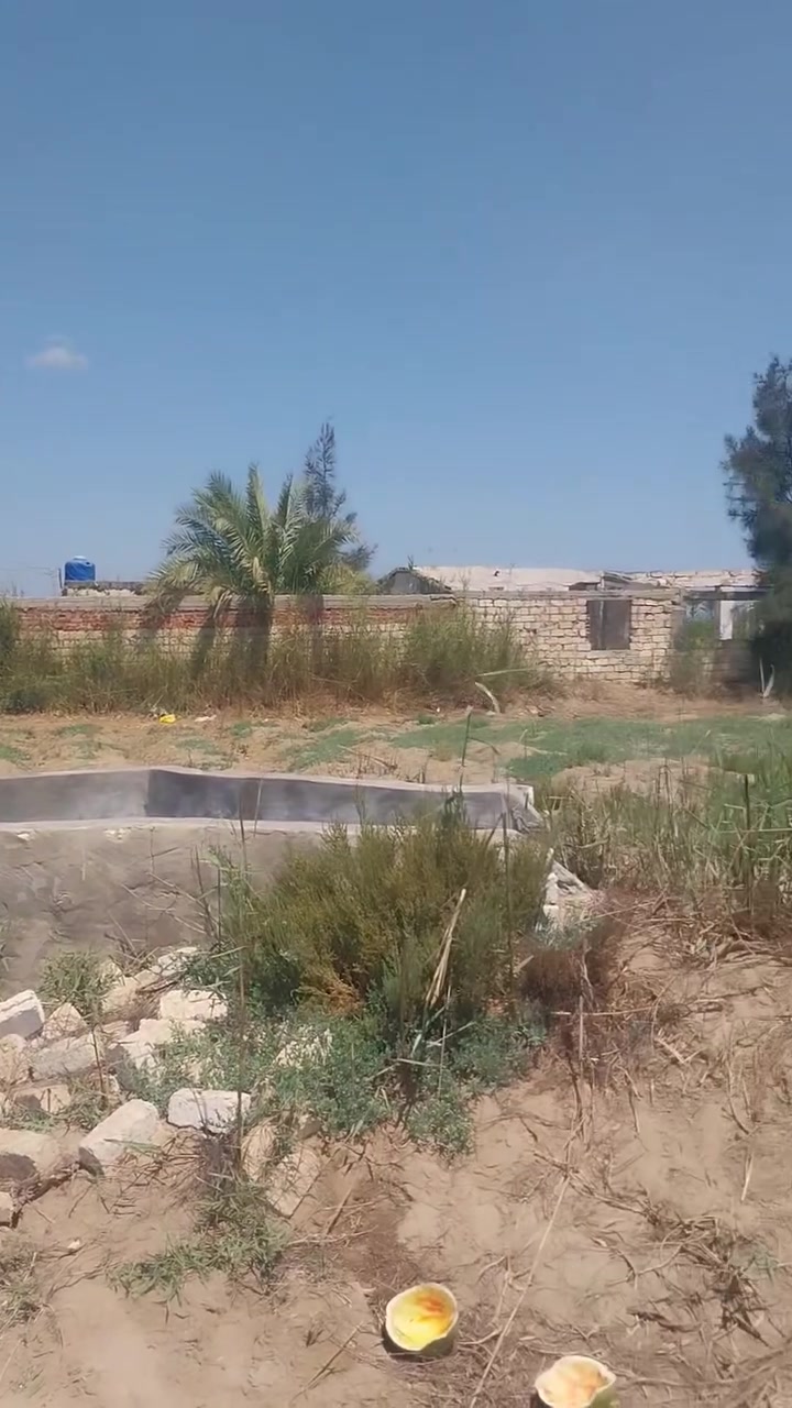 ٥ فدن للبيييييييع قلبشو ناحية المنصورة الجديده ٠١٠٦٣٤٤٢٠٣٠ عليها الكهربا والميه


**إذا كنت صاحب هذا الإعلان وتريد حذفه لأي سبب، رجاءا أرسل رسالة إلى الدعم الفني**