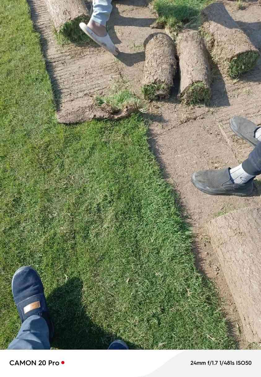 ‬‏يوجد خدمت توصيل لجميع المحافظات ويوجد كادر لتجهيز الحدائق لطلب ولستفتار التصال على الرقم أو مراسلت الصفحه ***********👈***********
