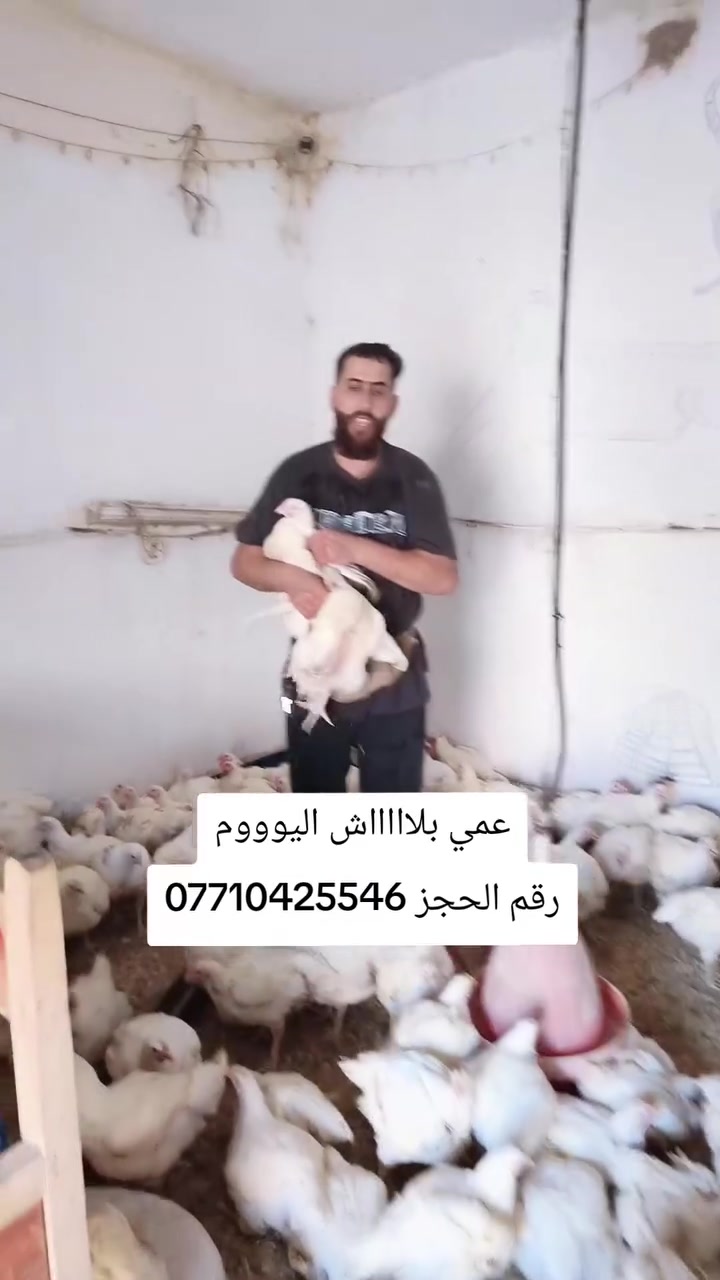 يا الله
خل ياكل الفقير من محل احمد الزيدي محل #العروض
العنوان بهرز نزلة علي الهادي     يوجد #واتساب ***********
