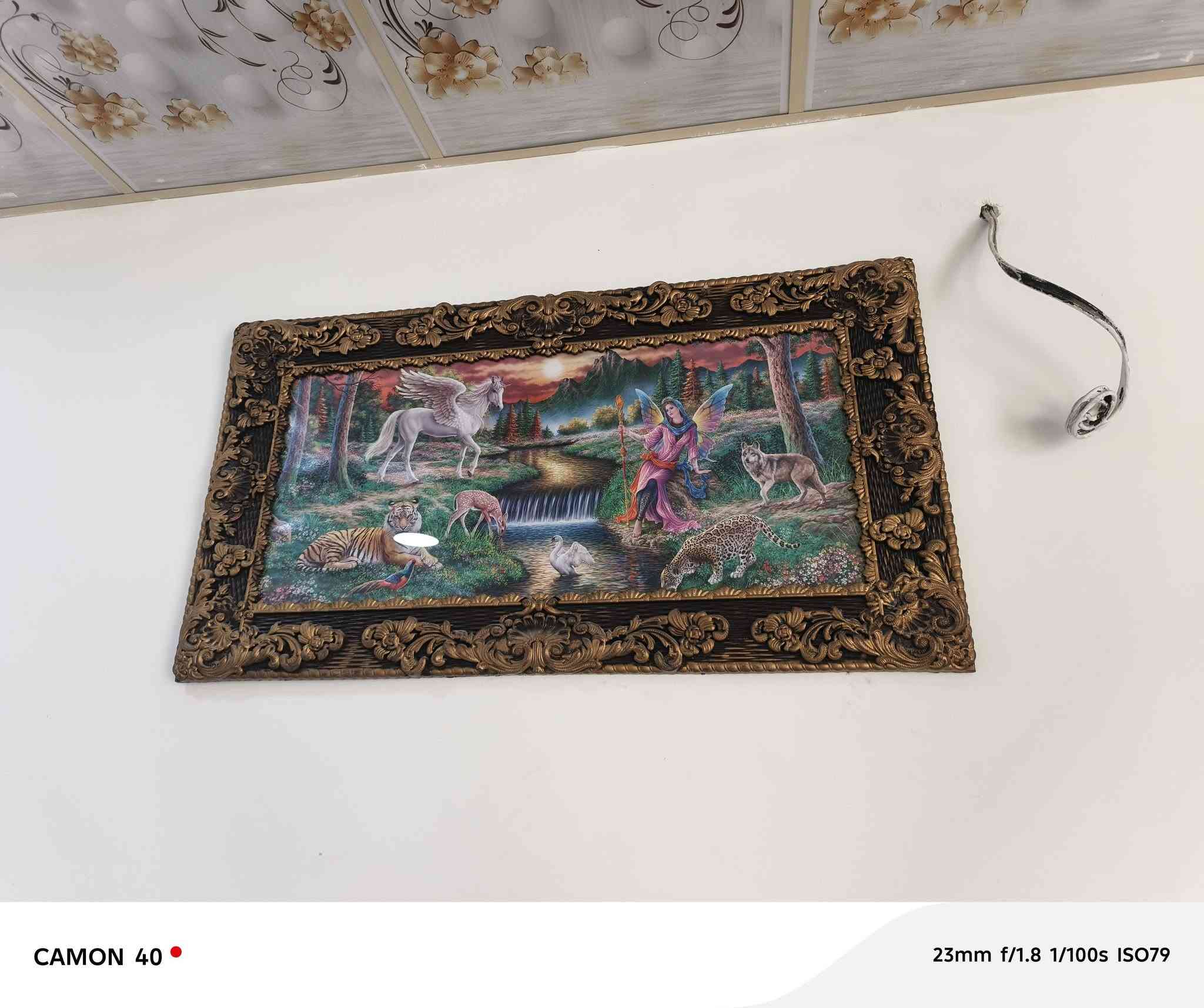 للبيع كلهم على 25


**إذا كنت صاحب هذا الإعلان وتريد حذفه لأي سبب، رجاءا أرسل رسالة إلى الدعم الفني**