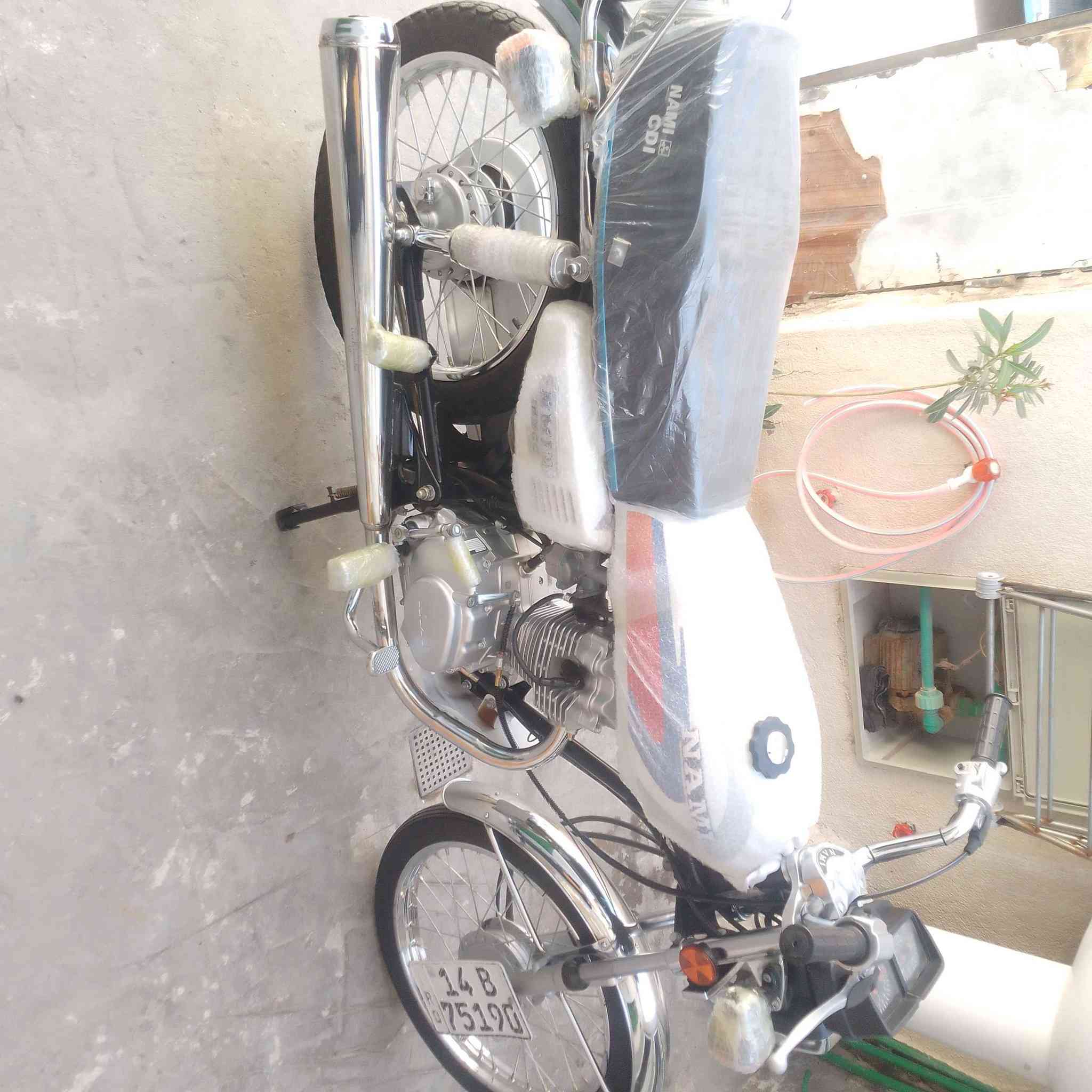 جديدة ماماشية رقم بصرة *********** او*********** شط العرب, البصرة
