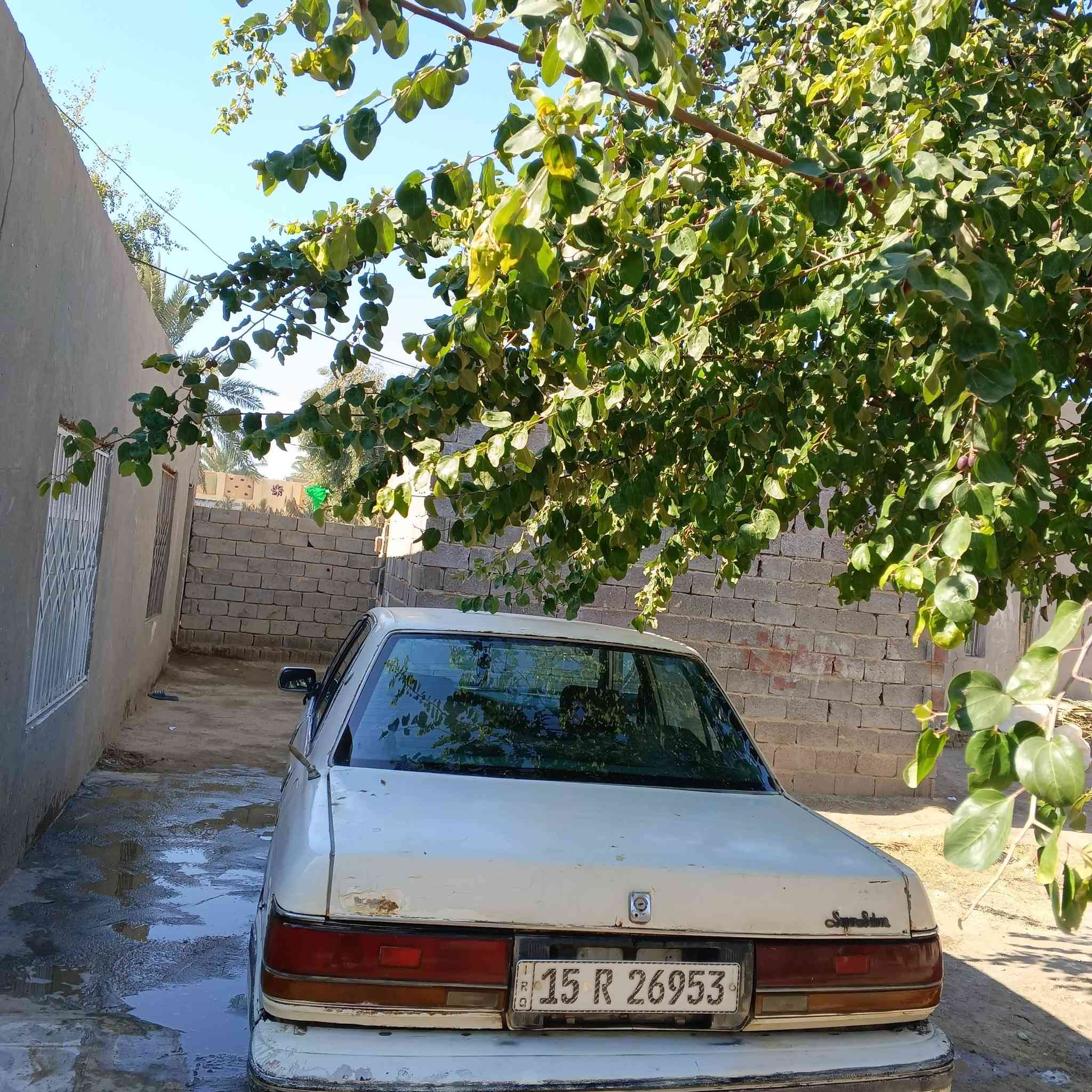 سلام عليكم
1.سيدان ياباني 
2.موديل 91 محرگ واكف يشتغل بس بيه صوت  مفتر بيه يطغ ما انطيگ بيه ظمان الووو بدقيقه 
2. صبغ حزام بدون ضربهه  
 3.كير كفاله اي تنقيص ما بيهه
4. رقم دولي بسمي ثاني يوم تحويل مشروع وطني 
5. خياسات بيههه  
6. تجي تقتنع بسياره يله تشيل سياره من يمي 
7. مكاتبه بنفس اليوم 
8. غرفته نظيفه معن الكلمه
9. انطيگ سياره بدون محرگ الجدام 
10. سنويه تنتهي ال 28 
11. رقم *********** لا يوجد واتساب رجاءااااا رجاءااااا
12.السعر =16 وبيهااا مجال حق الح الجيهههه
13. المكان بابل الحله الحزمه الغربي   طريق الشوملي .(خيكان )
