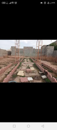 بيت هيكل • ٨٠٠م • دور الظباط