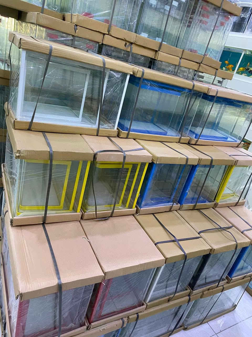 تم بعون الله وصول احواض سيت خماسي ألى معرضنا 🐠🐠
الأسعار مناسبه🤩🤩🤩
جمله ومفرد✅
العنوان كركوك قادسيه سايد المرور القديم مجاور حلويات الحلواني للاتصال ***********
