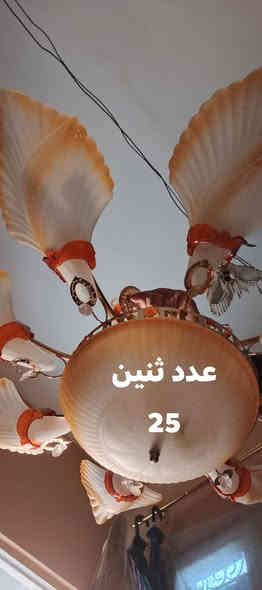 ***********اسيا واتساب     ***********
