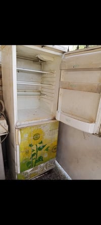 ثلاجة فوك • نص امبير • شارع فلسطين