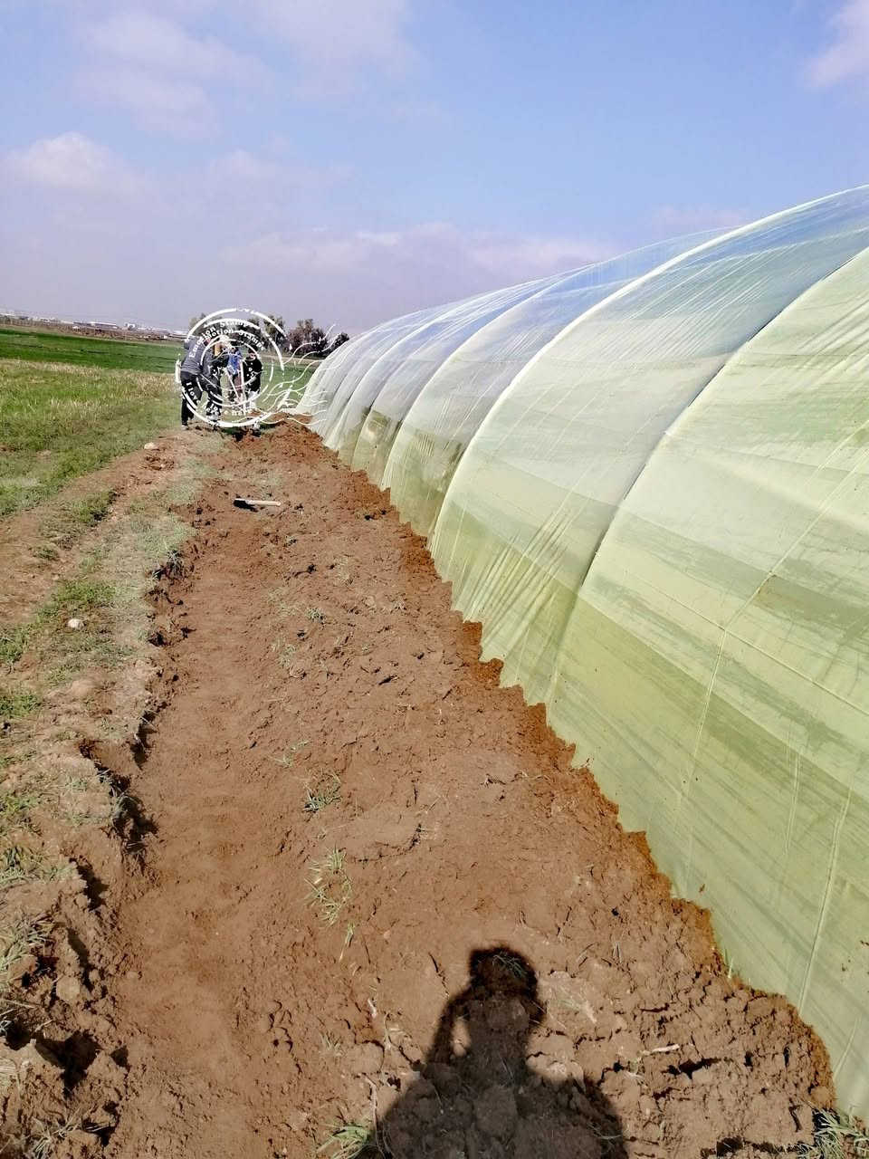 كادر النمرود يرحب بكم بأدارة ابو إسلام نجم
(طريق الفلاح ) موسم الزراعة في البيوت المحمية
 تركيب وتغليف جميع انواع البيوت البلاستيكية
تبديل الموقع بيع وشراء للتواصل 
***********
