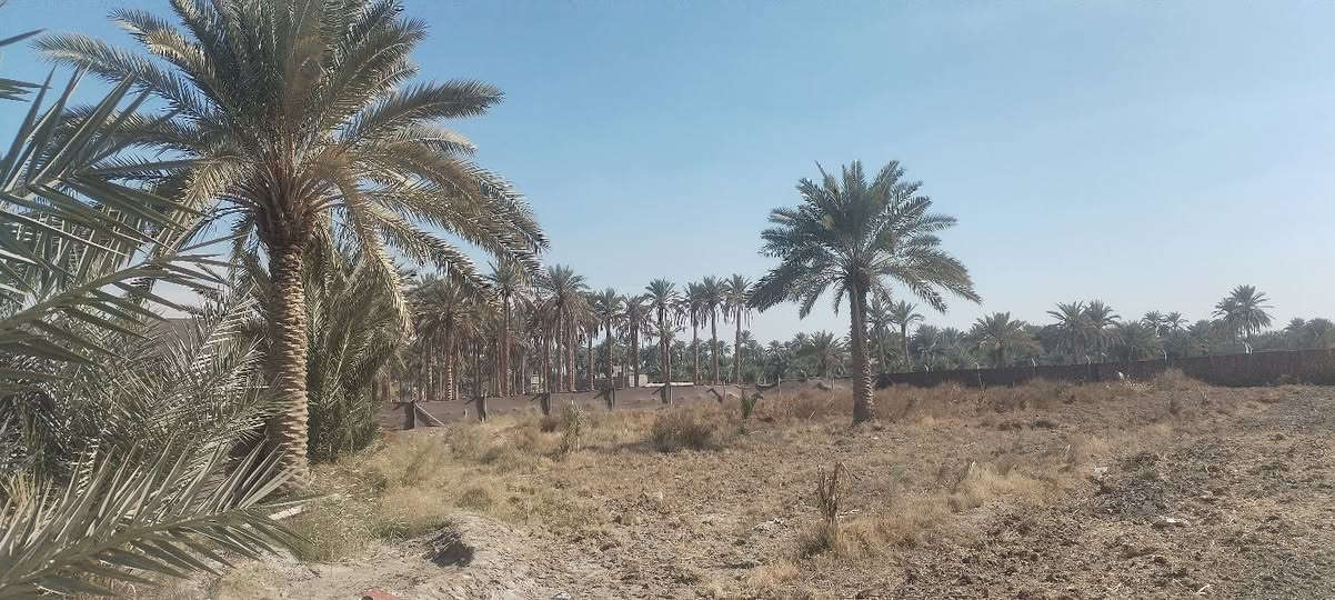 قطعه ارض المساحه 2دونم طريق حله نجف قرب البوابه بيها كافه الخدمات ماء كهرباء تبليط
 *********** اتصل وسعر كلش مناسب مستعجل عل بيع الكاع واجهيت شارع رئيسي

مرخصه الادمن
