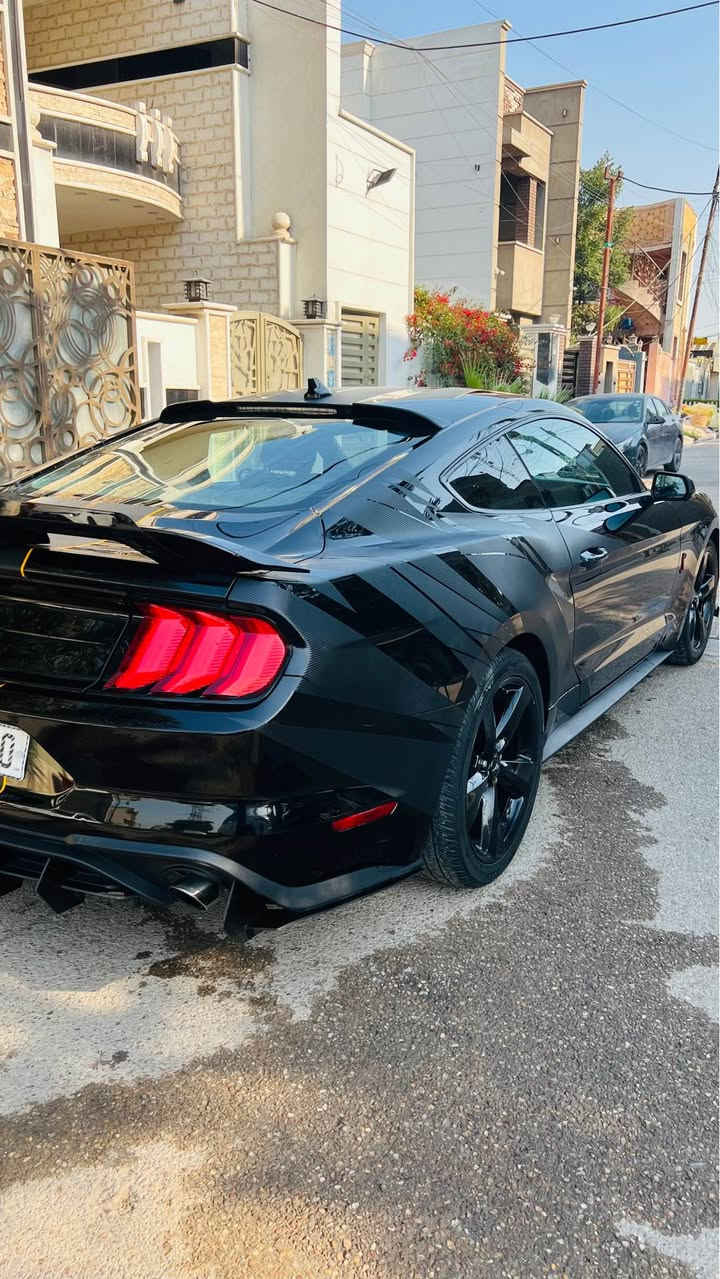 موستنك 2023 ايكوبوست (بلاك ادشن اصل) 
حادث جانبي بدوون ايرباك (فقط البردة) 
#ركز اخوية الجاملغ الخلفي نصة صبغ والباب مبدل نفس اللون + من امريكا بيهة تطبيگ جاملغ وباب
#البجم_كبببسسسس
رادار امامي + رادار جانبي  
تشغيل عن بعد وباقي الامور المعروفة
ماشية 36 ميل تراي زيرو سيارة جديدة جدا ومال جناي بالعافية ع الياخذهة 
السعرررررر 169 وماكو 2023 بهيج حادث وهيج نظافة وهيج سعرر
#ملاحظة الوشم والخطوط كاربون اسود اصلي يعني غير ممنوع مروريا لان بلون السيارة 
مكاني بغداد
استفسار خاص بغداد, العراق


**إذا كنت صاحب هذا الإعلان وتريد حذفه لأي سبب، رجاءا أرسل رسالة إلى الدعم الفني**