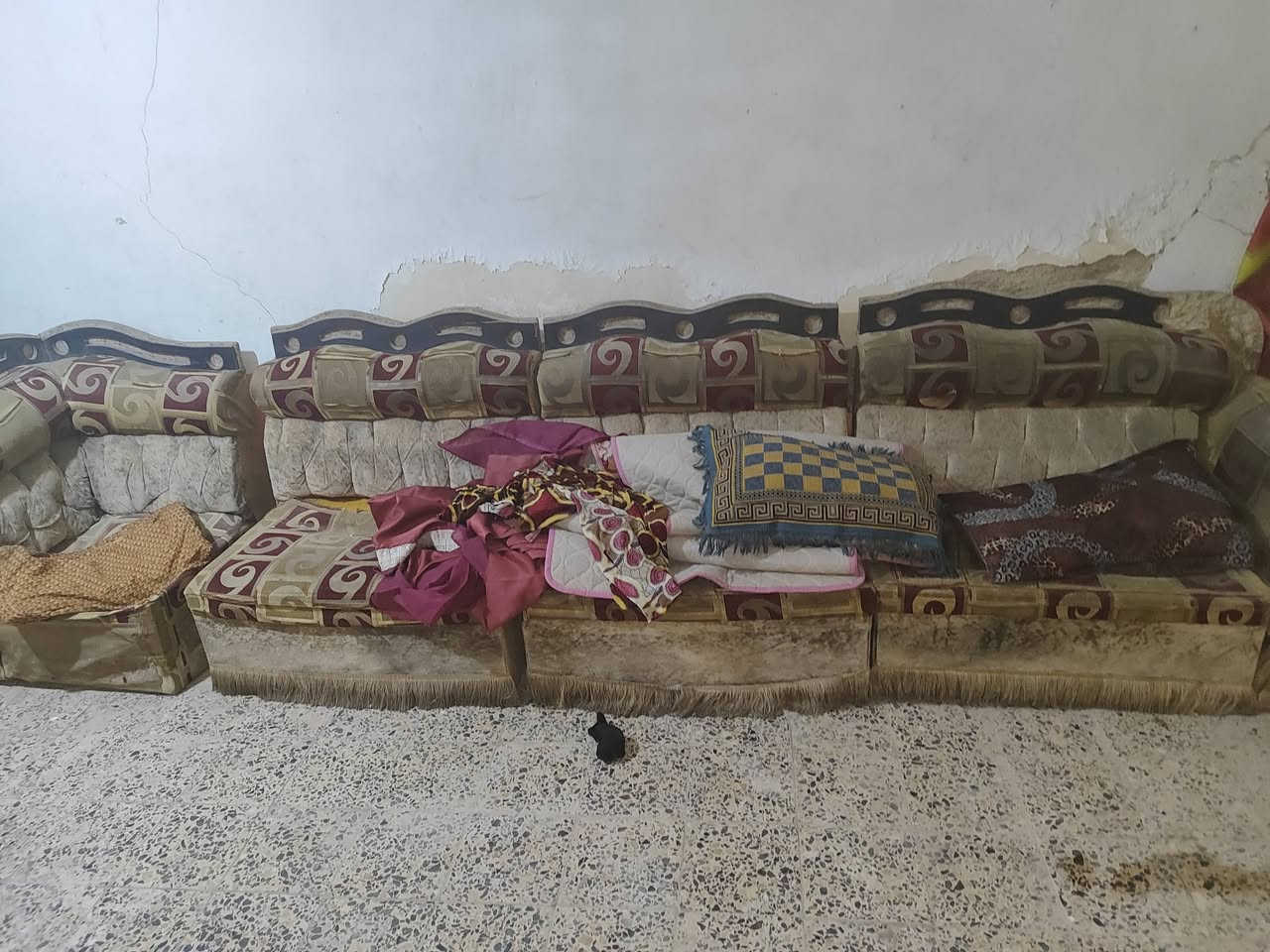 بيع مستعجل بسعر مناسب


**إذا كنت صاحب هذا الإعلان وتريد حذفه لأي سبب، رجاءا أرسل رسالة إلى الدعم الفني**
