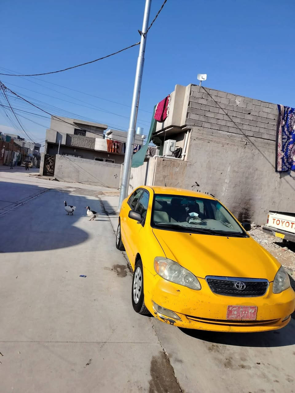 #كورلا المودیل 2008 الهيئ مصفره الغرامات عليه السعر 84 وبيها مجال و هاذ رقمي(***********) (*********** سياره احلا من صور نضيفه  وشرط تحويل. #كورلا
