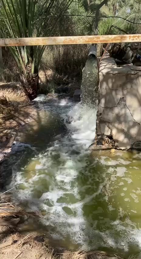 بستان للبيع مساحة 1950م2 من غير محرم البزل والنهر مع المحرم تكون المساحة اكبر
المكان :كربلاء حي العباس الدالية على مبزل الرزازة الكبير يبعد عن الامام العباس ع4كيلو 
الواجهة 22.5ركن على رئيسي و فرعي 
يقع مستقبلاً على دوار الحسين الثالث 
الخدمات تبعد عنه 600متر تقريباً 
يحتوي على دار مساحة 250م2الطابق الارضي 
والطابق الاول مساحة 300م2
يحتوي على اشجار متنوعة ونخيل متنوع 
السعر390 مليون قابلة للتفاوض للاستفسار الاتصال على ***********
