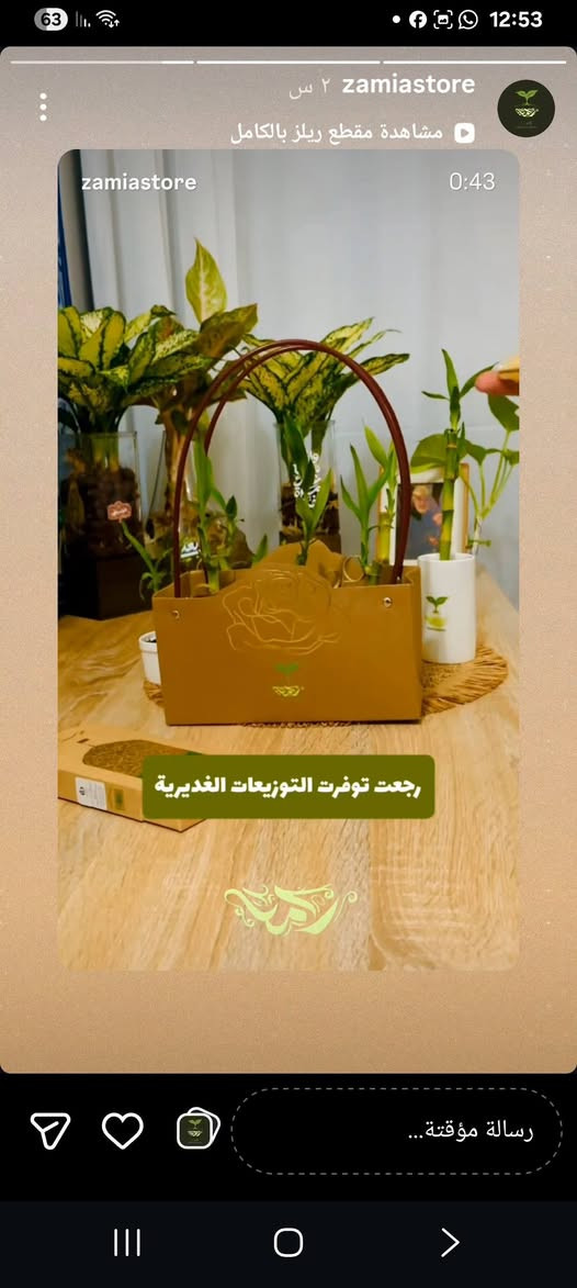https://www.instagram.com/reel/DZHZyPwNZny/?igsh=aGQxOTN2dXU3dXE3متجر زاميا للنباتات الظليا


**إذا كنت صاحب هذا الإعلان وتريد حذفه لأي سبب، رجاءا أرسل رسالة إلى الدعم الفني**