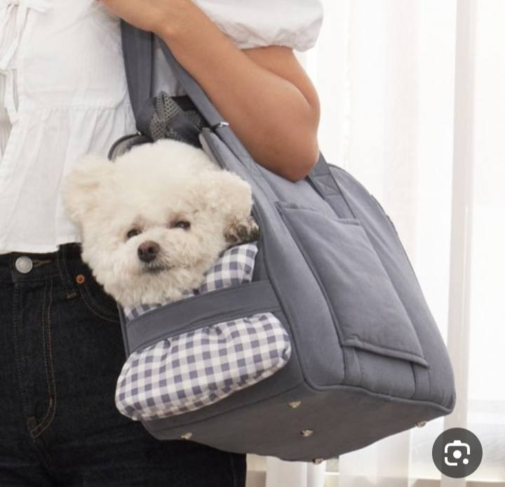 السلام عليكم اغراض مال قطط امزون المكان نهايه شارع الشهداء رقم واتساب ***********متواجدين بكل الاوقات
