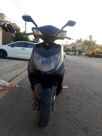 سكنس فحل • مجفته • وكاله