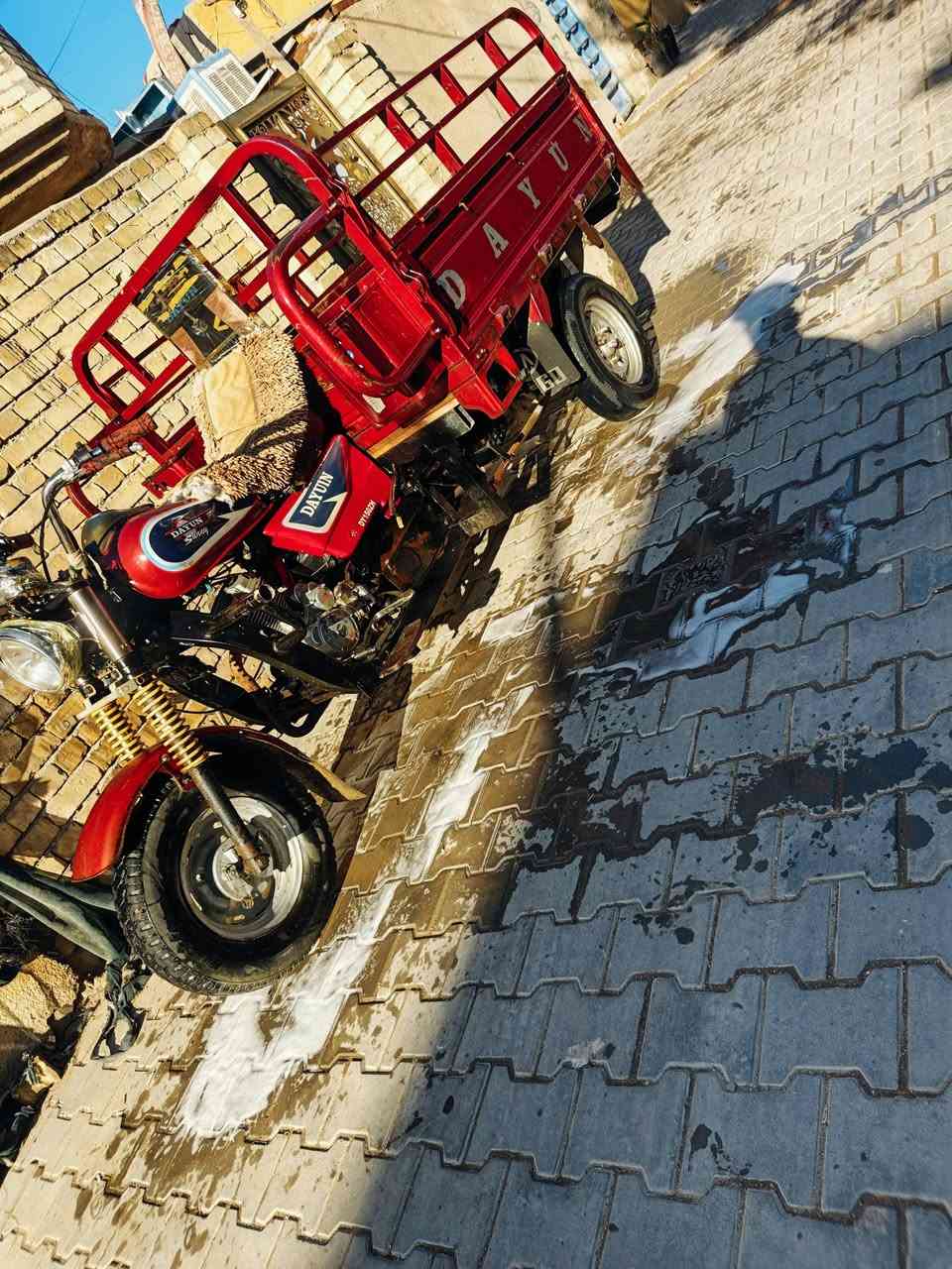 سلام عليكم ستوته دايون لبيع ستوته نكره سلف وراق صوليه ستوته كدام للعين نكره سلف مكينه مكفوله ٢٥ ستوته مل جني سعر علا للتصال مكاني بغداد شعله ‏‪***********‬‏
