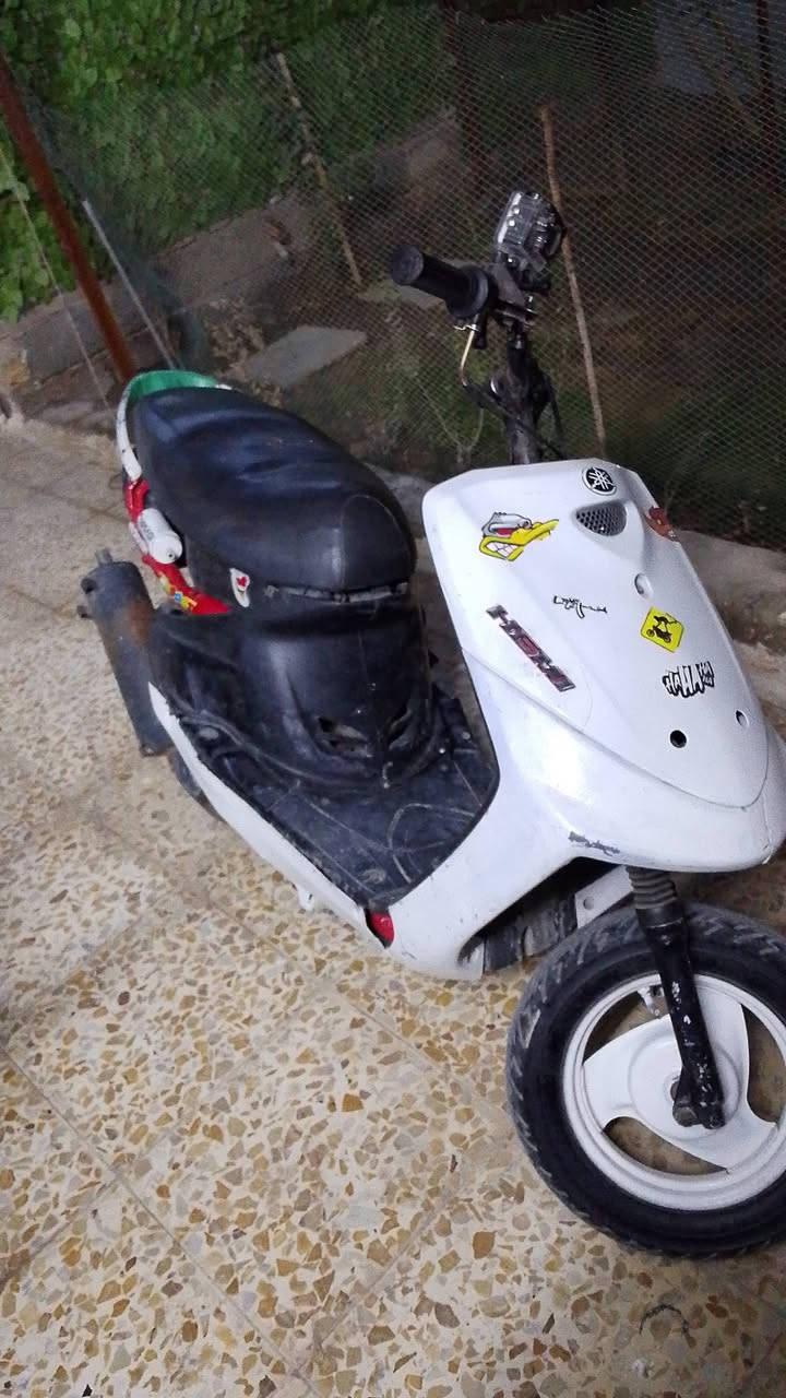 ماكس قجمه 49 بلادي شلعه ومعدل للمرواس عدله حتلو مفتوحه مكان بغداد الرقم *********** وتساب
