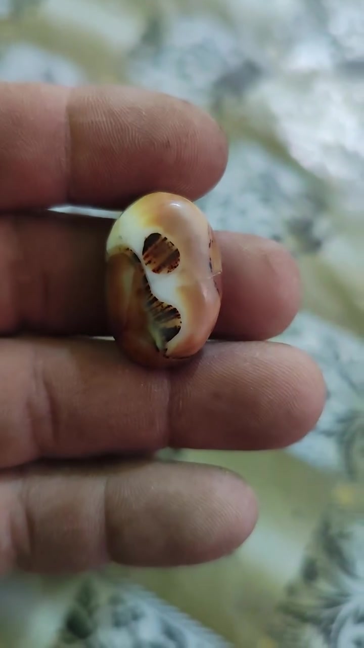 واضح ميحتاج لوصف مراوس حسب لقناعة


**إذا كنت صاحب هذا الإعلان وتريد حذفه لأي سبب، رجاءا أرسل رسالة إلى الدعم الفني**