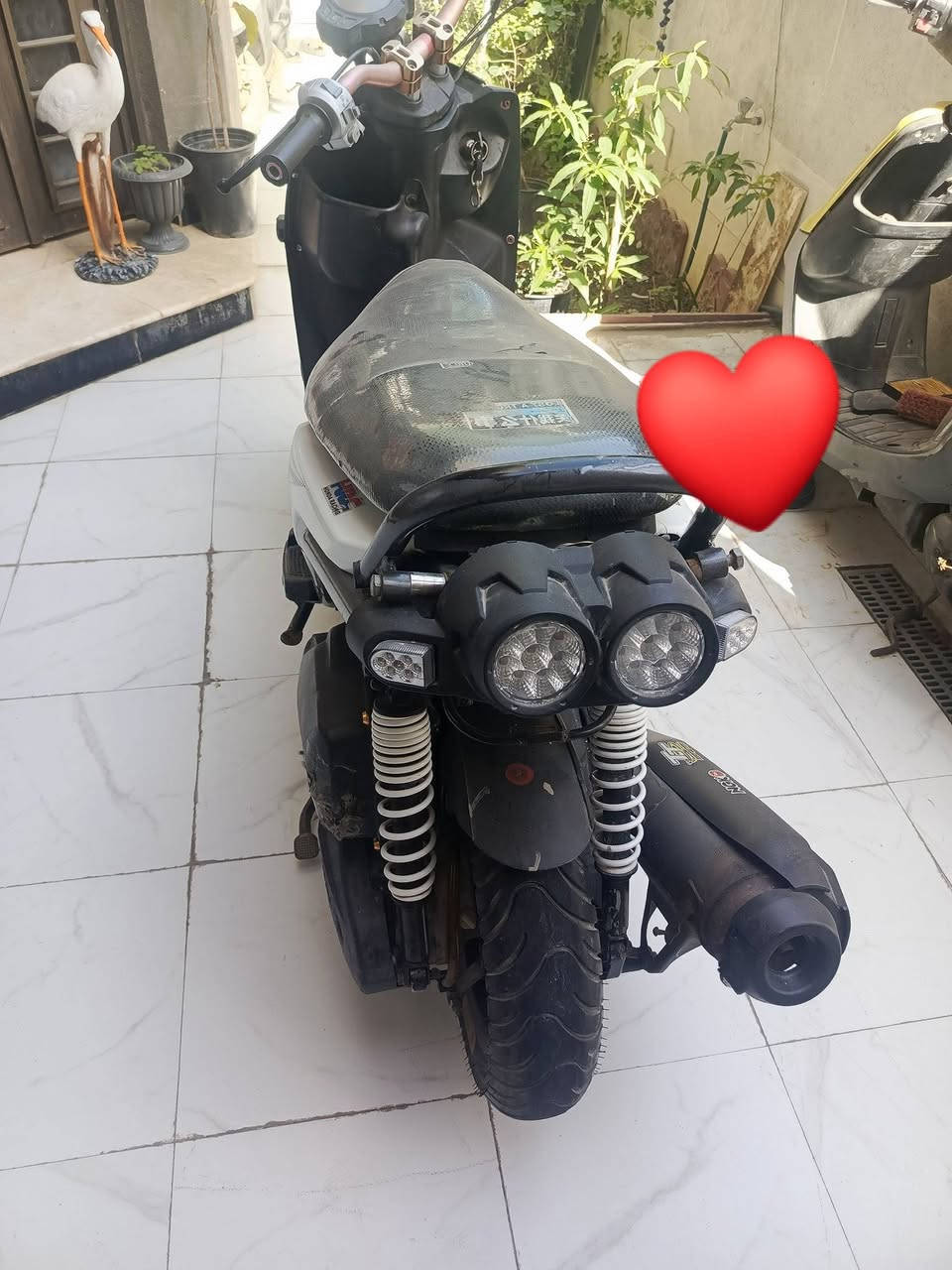 سكنس جبلي للبيع
سعر خاص او الاتصال 

***********
