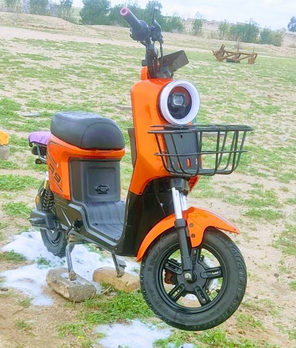 سلام عليكم دراجه البيع R9بطاريات ونلي 32ابير موديل 2026مكان بصره


**إذا كنت صاحب هذا الإعلان وتريد حذفه لأي سبب، رجاءا أرسل رسالة إلى الدعم الفني**