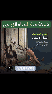 #عندك #ارضة بالبيت ؟ ( 🐜) وماكلة الحايط #والاخشاب وتريد تخلص منها الحل يم شركة المشرق  لمكافحة  وحشرة الأرضة طبعاً اول شي نفحص بيتك بجهاز سونار وبعده رش المبيدات #وبضمان حقيقي✅تصل مدة الضمان الى 5 #سنوات موجود عروض وخصومات لكل دوائر الحكومية  ومجمعات السكنيه وهاا تعفير وتعقيم مجاني ومواد فايروسه ناقله للعدوه بنسبه للحشرات صحه عامه عديمة الرائحة  وميحتاج اخلاء الموقع  وكوادرنا تعمل لجميع  محافظاات العراق الآن #اتصل بنا #*********** (☎️) او مراسلة الصفحة الرئيسية او الاتصال على رقم #الهاتف ☎️***********
