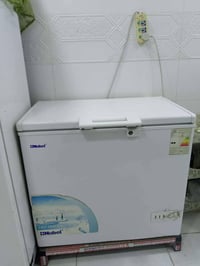 نوبيل • شغاله • بغداد الامين