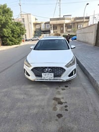 ٢٠١٩ • وارد امريكي • سبورت فول